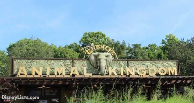 NEWS: Disney Announces Big Change to Popular Animal Kingdom Show