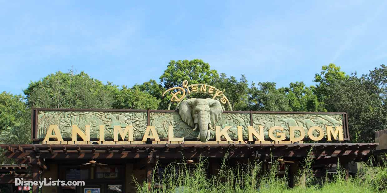 Perfect Day at Animal Kingdom: What to Do According to Travel Planner